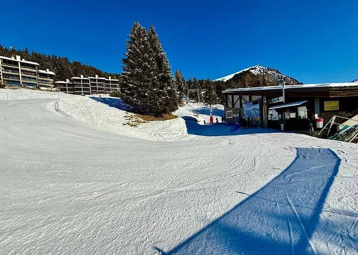 17 1 Alpe Des Chaux 6pax * גריון