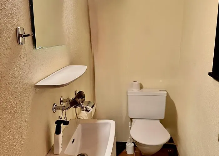 17 1 Alpe Des Chaux 6pax גריון