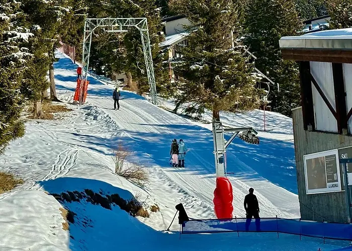 Appartement 17 1 Alpe Des Chaux 6pax *